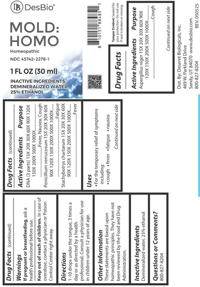Mold:homo (Dsrt0904 Mold Homo 05 07 25)